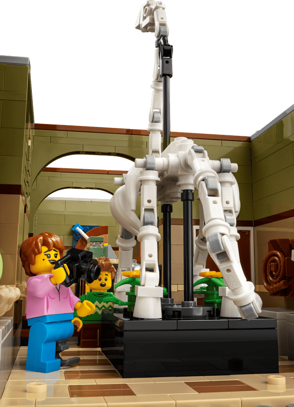 LEGO 10326 Le Muséum d’Histoire naturelle — visuel 5 sur 8