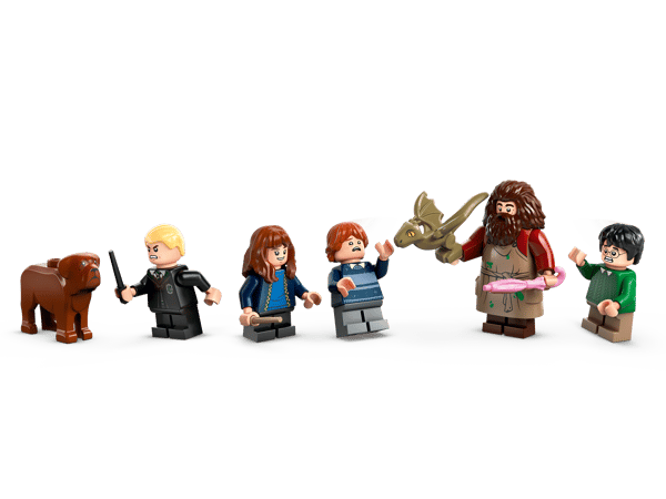 Hagrid's Hut: An Unexpected Visit - Image 10