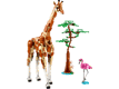 Wild Safari Animals