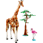 Les animaux sauvages du safari