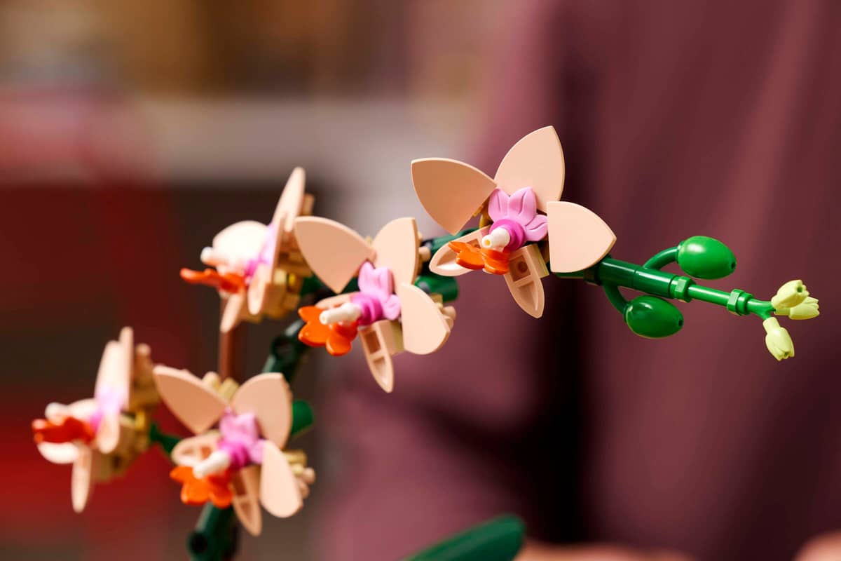 https://www.lego.com/cdn/cs/set/assets/bltf18b004d151dfbcb/10343_Lifestyle_Build_05.jpg?format=webply&fit=bounds&quality=70&width=800&height=800&dpr=1.5