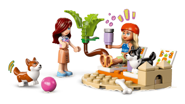 Surfing Dogs and Scooter Adventure - Image 6