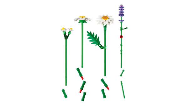 Daisies - Image 9