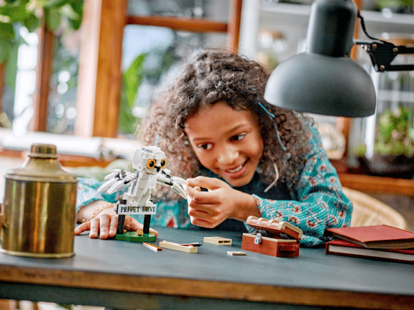 Hedwig™ at 4 Privet Drive - Image 10