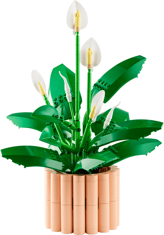 Spatifillo — set LEGO 11504