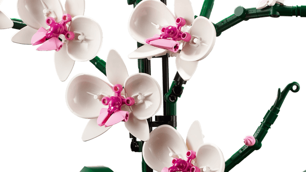 LEGO 10311 L’orchidée — visuel 6 sur 8