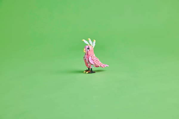 Wild Animals: Pink Flamingo - Image 12