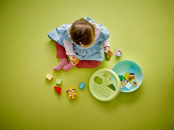 Shape Sorter: Puppy House - Image 10