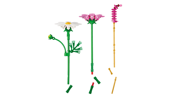 Cosmos Flowers - Image 6
