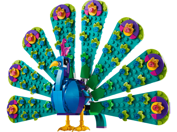 Exotic Peacock - Image 1
