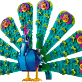 Le paon exotique