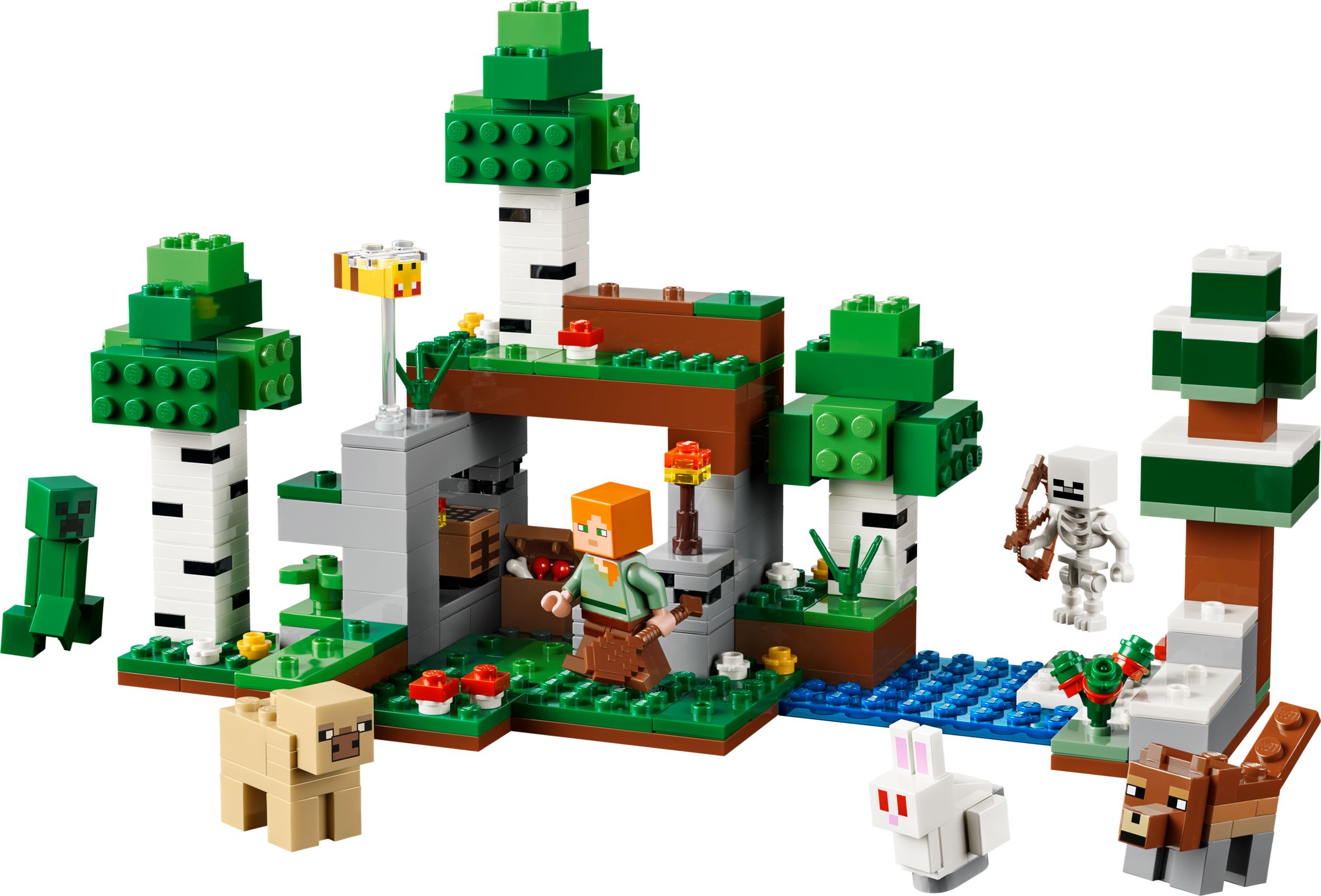 LEGO Minecraft L’aventure de la Première Nuit 21593 - vue 2