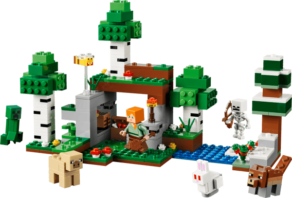 LEGO 21593 L’aventure de la première nuit