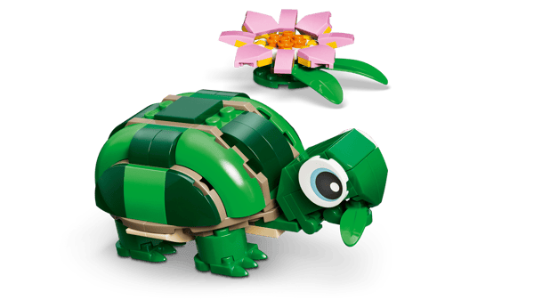 Turtle with a Water Lily Flower - Image 8
