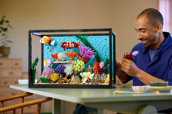 Tropical Aquarium - Image 14