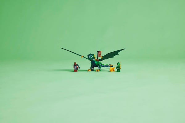 LEGO 71829 Le dragon vert de la forêt de Lloyd — visuel 7 sur 8