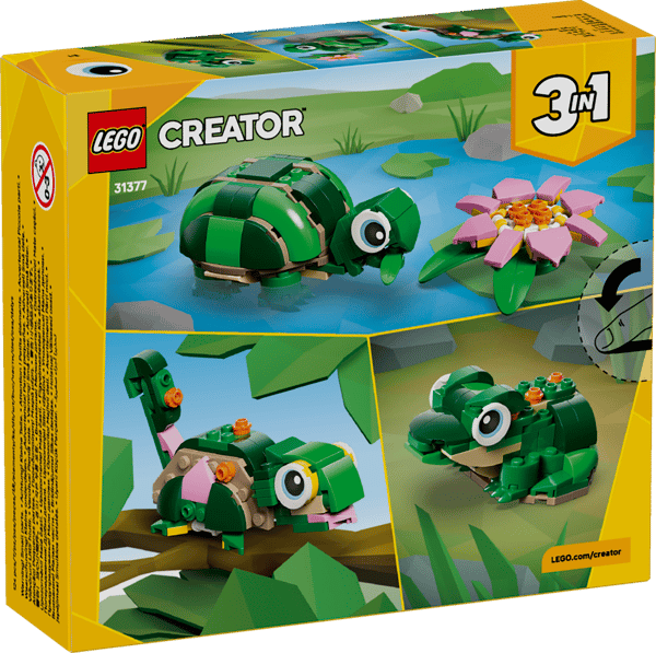 Turtle with a Water Lily Flower - Image 14