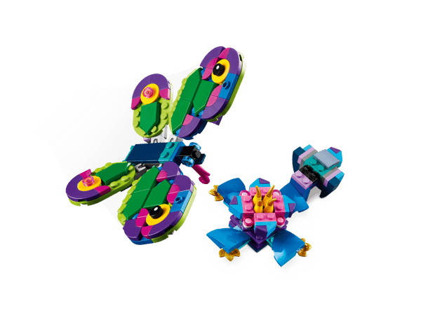 Exotic Peacock - Image 9