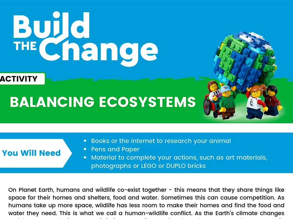 Build Change activities Sustainability - LEGO.com US