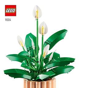 和平百合说明书