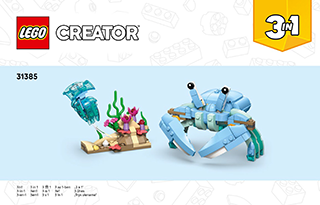 海洋动物：美丽的海豚说明书