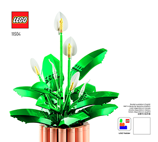 和平百合说明书