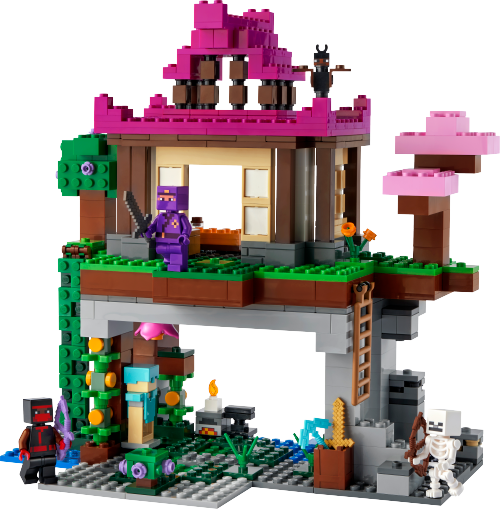 The Training Grounds — LEGO set 21183