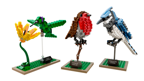 Uccelli — set LEGO 21301