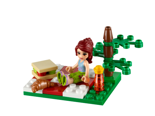 Picnic estivo Friends — set LEGO 30108