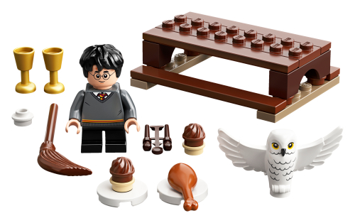 LEGO 30420 Harry Potter™ y Hedwig™: Lechuza Repartidora