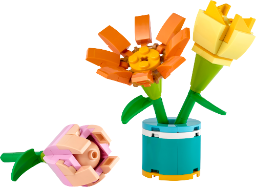 Fiori dell’amicizia — set LEGO 30634