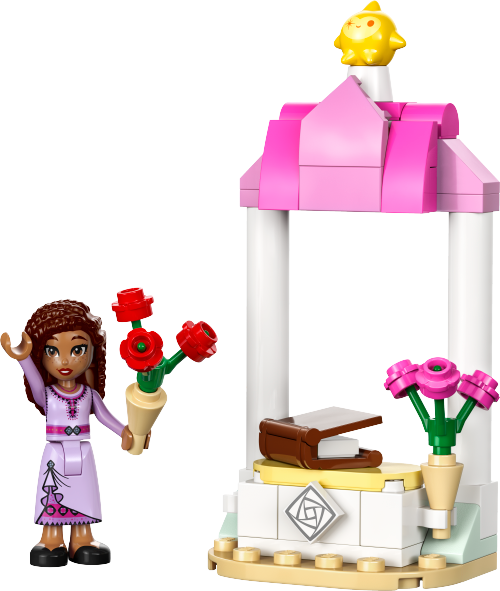 Il banco di benvenuto di Asha — set LEGO 30661