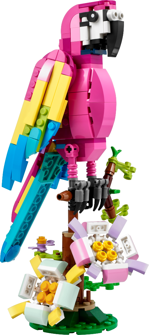 Pappagallo esotico rosa — set LEGO 31144