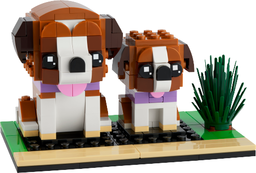 St. Bernard — LEGO set 40543